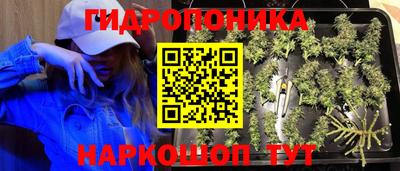 ECSTASY Нягань