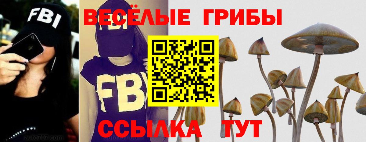 Батайск  Псилоцибиновые грибы мицелий  Вход с VPN 